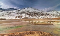 Ghazar 81 Pakistan